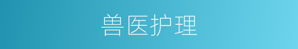 兽医护理的同义词