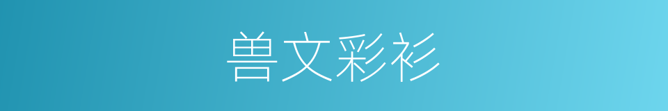 兽文彩衫的意思