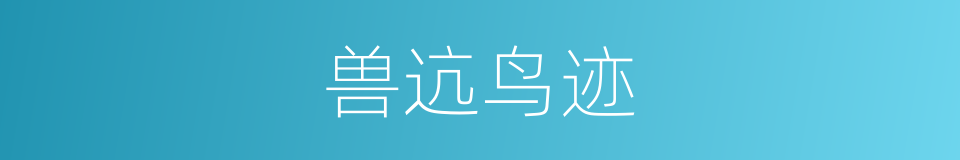 兽迒鸟迹的同义词