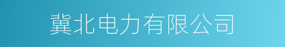 冀北电力有限公司的同义词