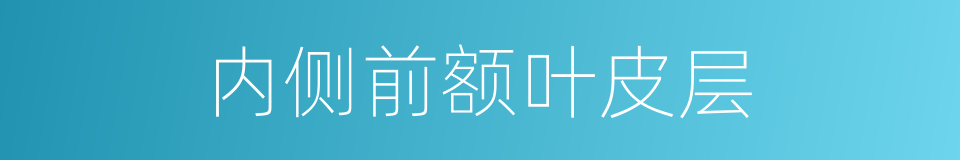 内侧前额叶皮层的同义词