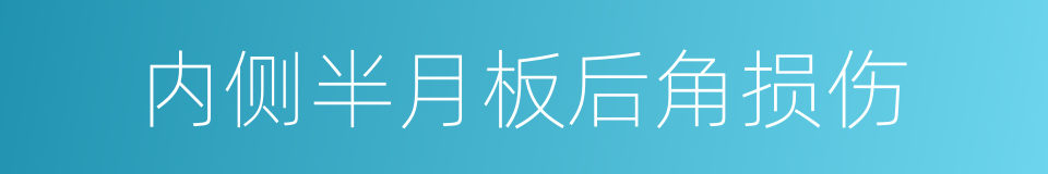 内侧半月板后角损伤的同义词