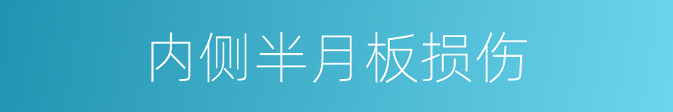 内侧半月板损伤的同义词