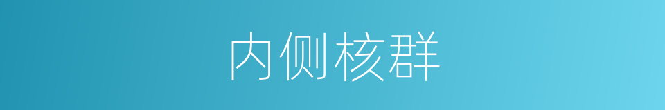 内侧核群的同义词