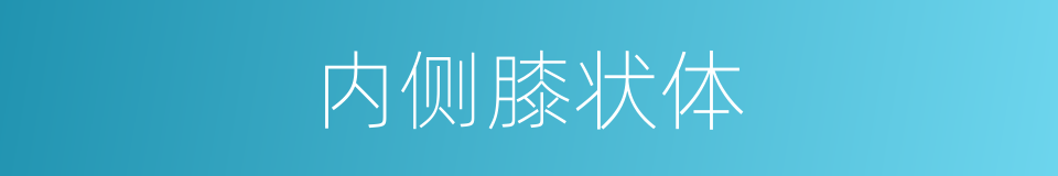 内侧膝状体的同义词