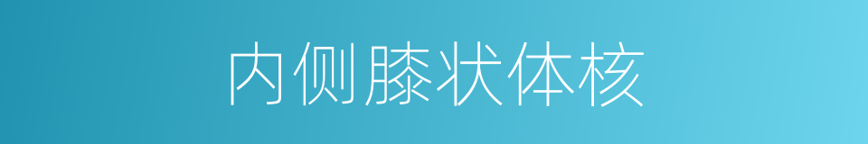 内侧膝状体核的同义词