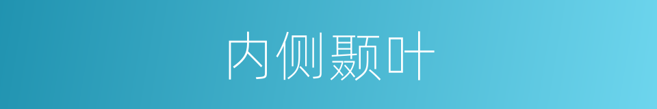 内侧颞叶的同义词