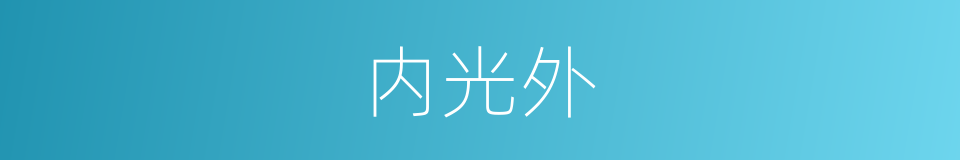 内光外的同义词