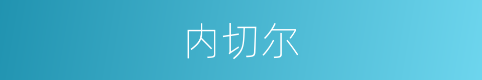 内切尔的同义词