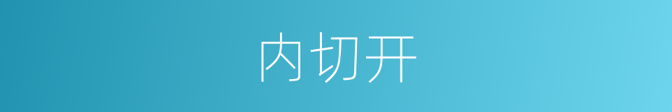 内切开的同义词