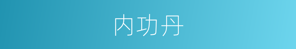 内功丹的同义词