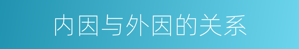 内因与外因的关系的同义词