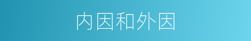 内因和外因的同义词