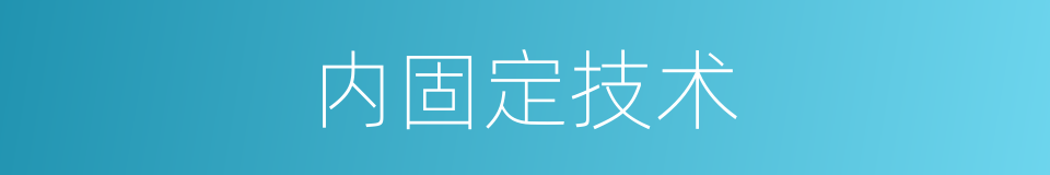 内固定技术的同义词