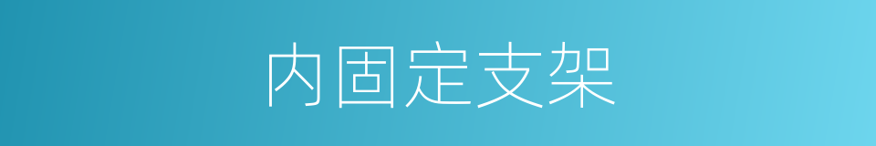 内固定支架的同义词