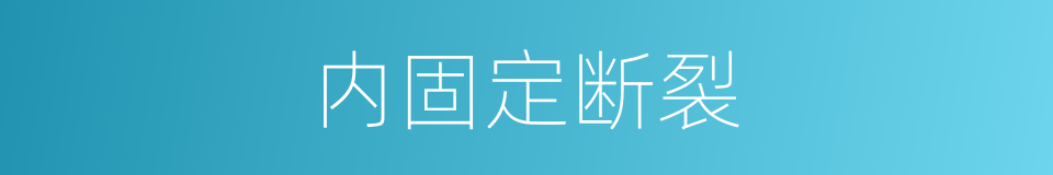 内固定断裂的同义词