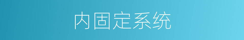 内固定系统的同义词