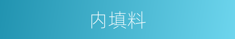 内填料的同义词