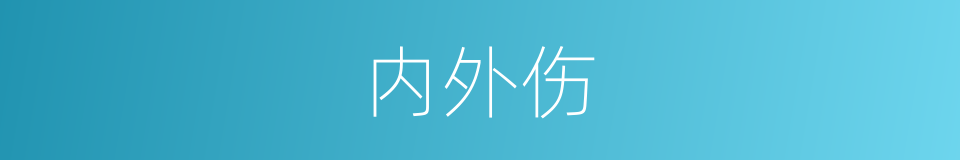 内外伤的同义词