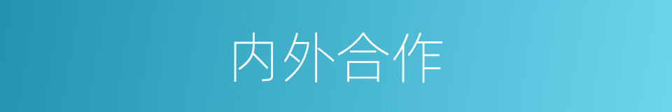 内外合作的同义词