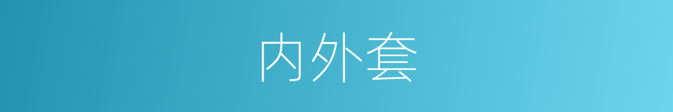 内外套的同义词