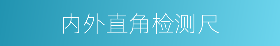 内外直角检测尺的同义词