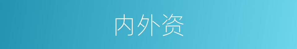内外资的同义词