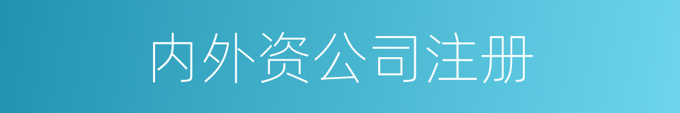 内外资公司注册的同义词