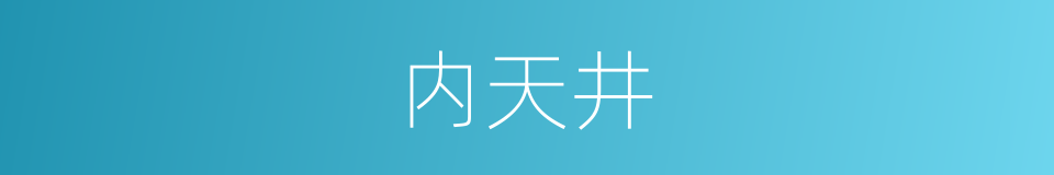 内天井的同义词