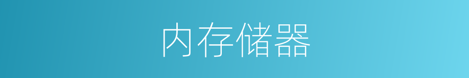 内存储器的意思