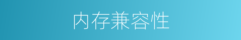 内存兼容性的同义词