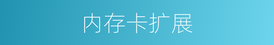 内存卡扩展的同义词