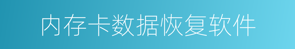 内存卡数据恢复软件的同义词