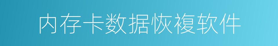 内存卡数据恢複软件的同义词