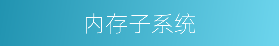 内存子系统的同义词