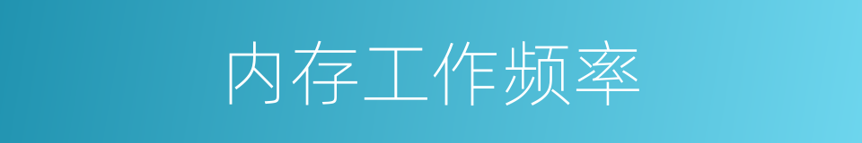 内存工作频率的同义词