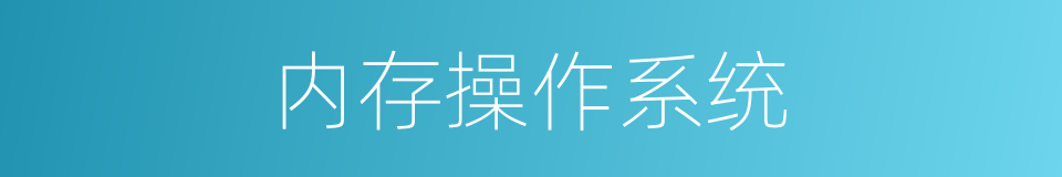 内存操作系统的同义词