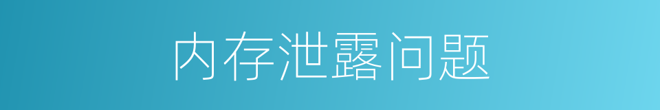 内存泄露问题的同义词