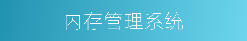内存管理系统的同义词
