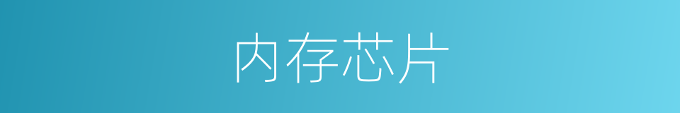 内存芯片的同义词