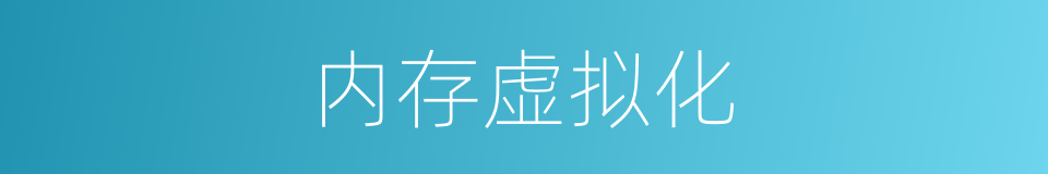 内存虚拟化的同义词