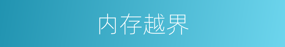 内存越界的同义词