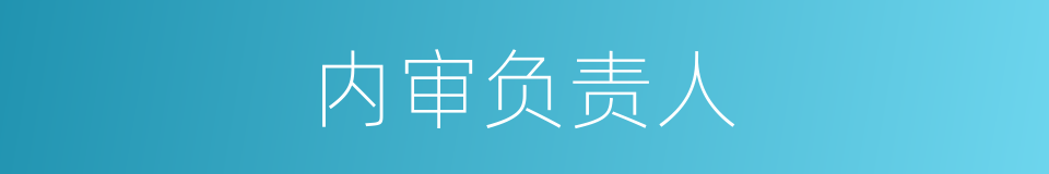 内审负责人的同义词