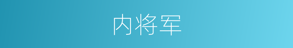 内将军的同义词