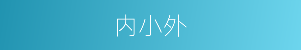 内小外的同义词