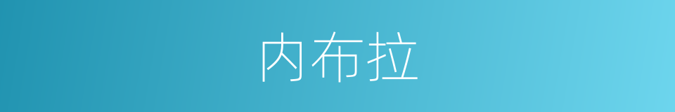 内布拉的同义词