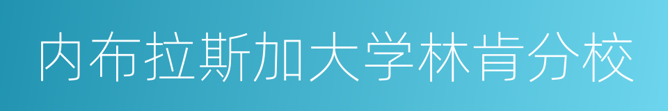 内布拉斯加大学林肯分校的意思