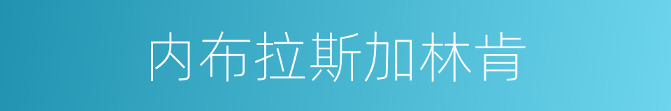 内布拉斯加林肯的同义词