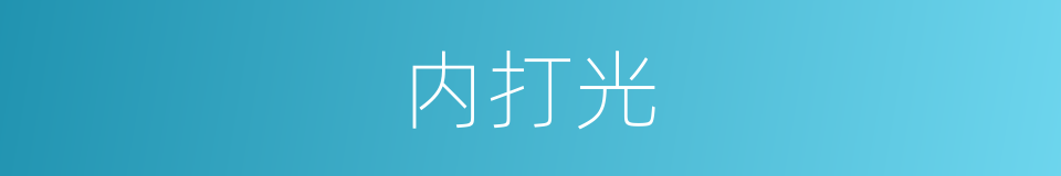 内打光的同义词