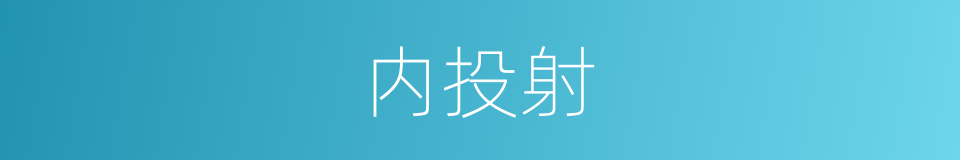 内投射的同义词